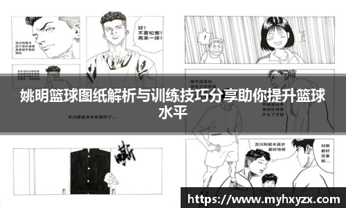姚明篮球图纸解析与训练技巧分享助你提升篮球水平