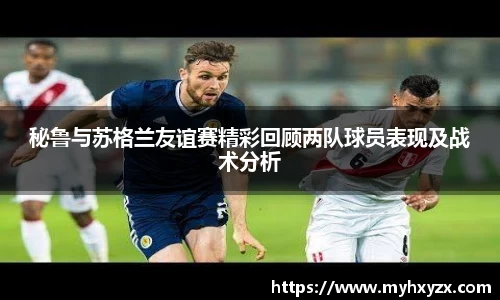 金年会